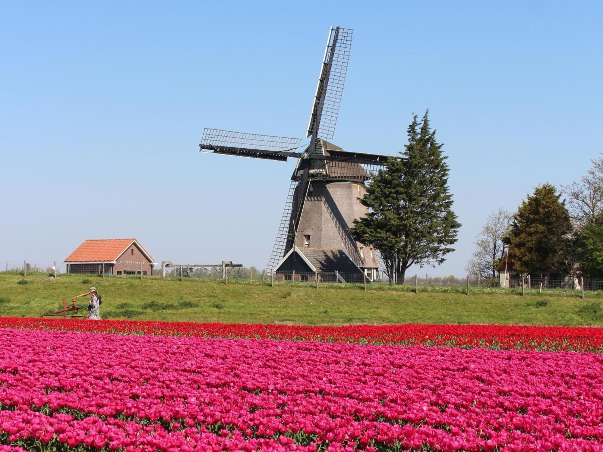 Holiday Home With Fabulous Garden Sint Maartensvlotbrug المظهر الخارجي الصورة