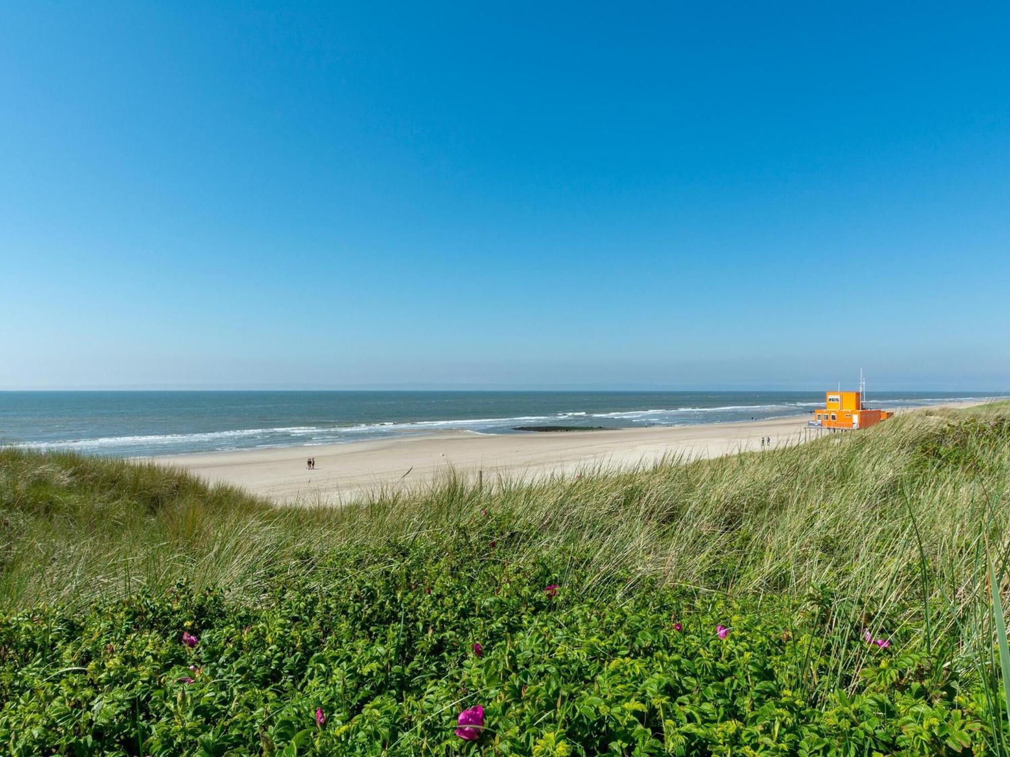 Holiday Home With Fabulous Garden Sint Maartensvlotbrug المظهر الخارجي الصورة